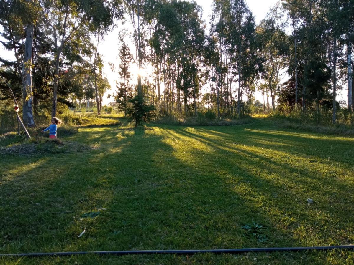 Vila Pilmaiquen Riachuelo Exteriér fotografie