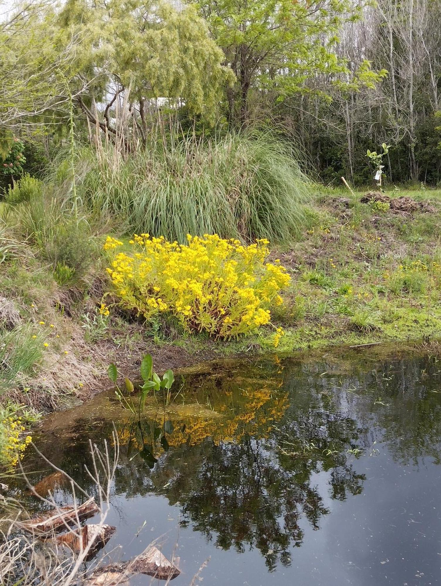 Vila Pilmaiquen Riachuelo Exteriér fotografie