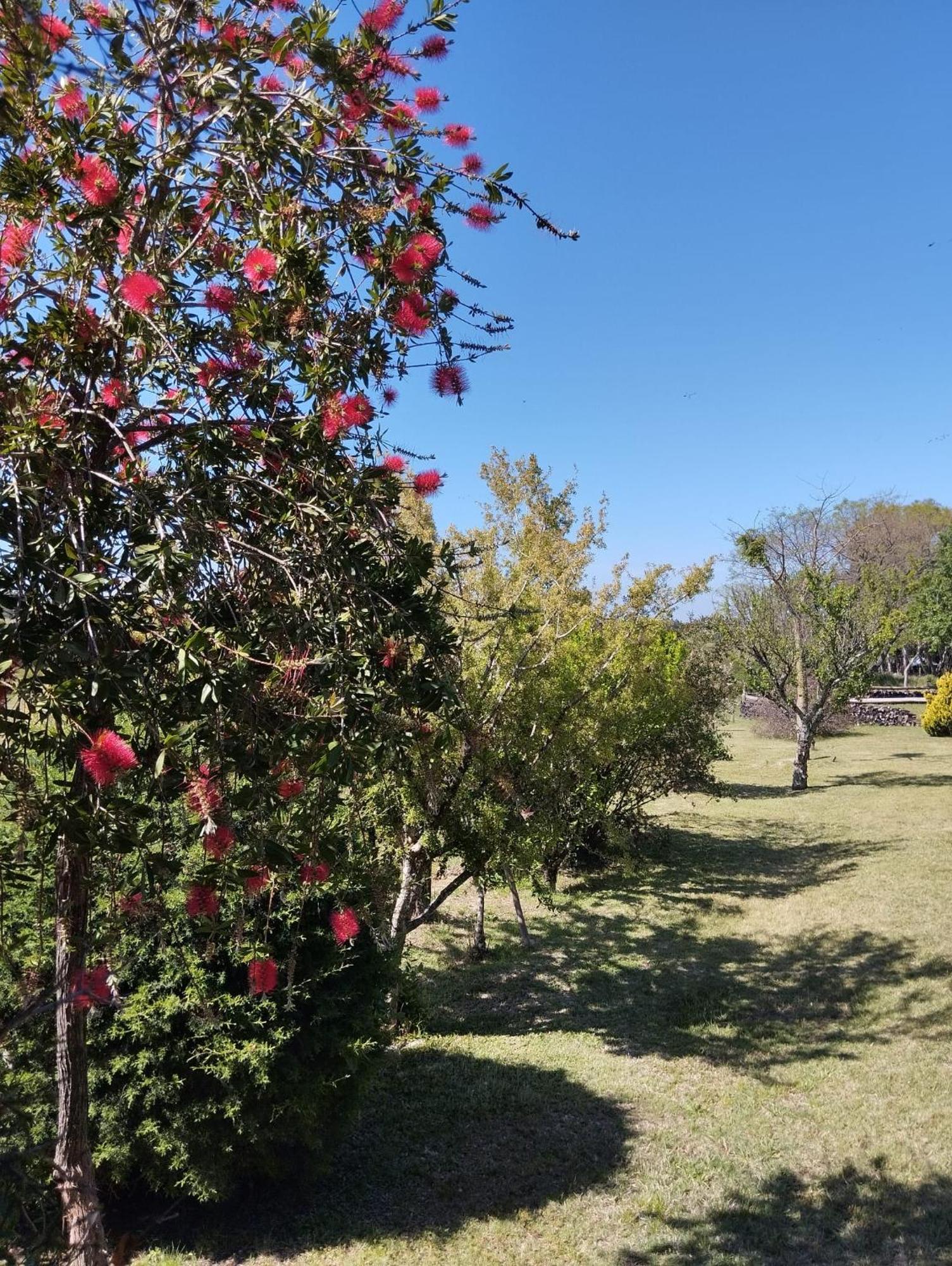 Vila Pilmaiquen Riachuelo Exteriér fotografie