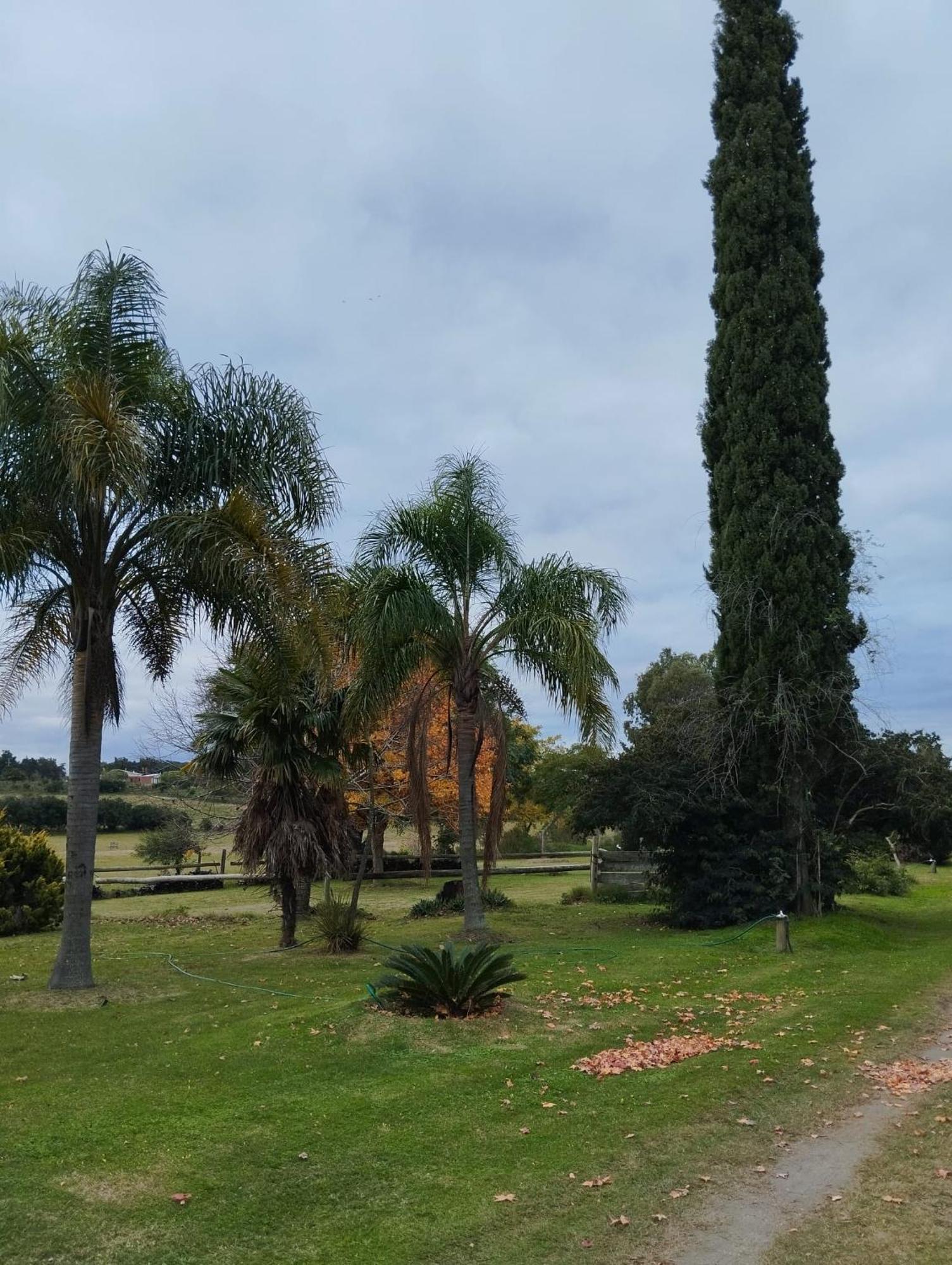 Vila Pilmaiquen Riachuelo Exteriér fotografie